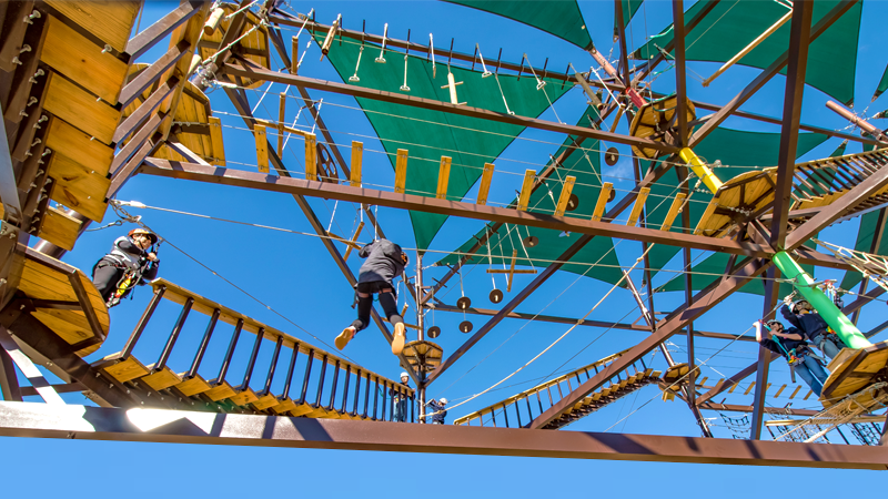 Eagle Challenge ($)