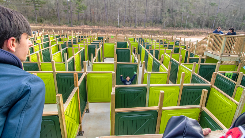Mystic Forest Maze